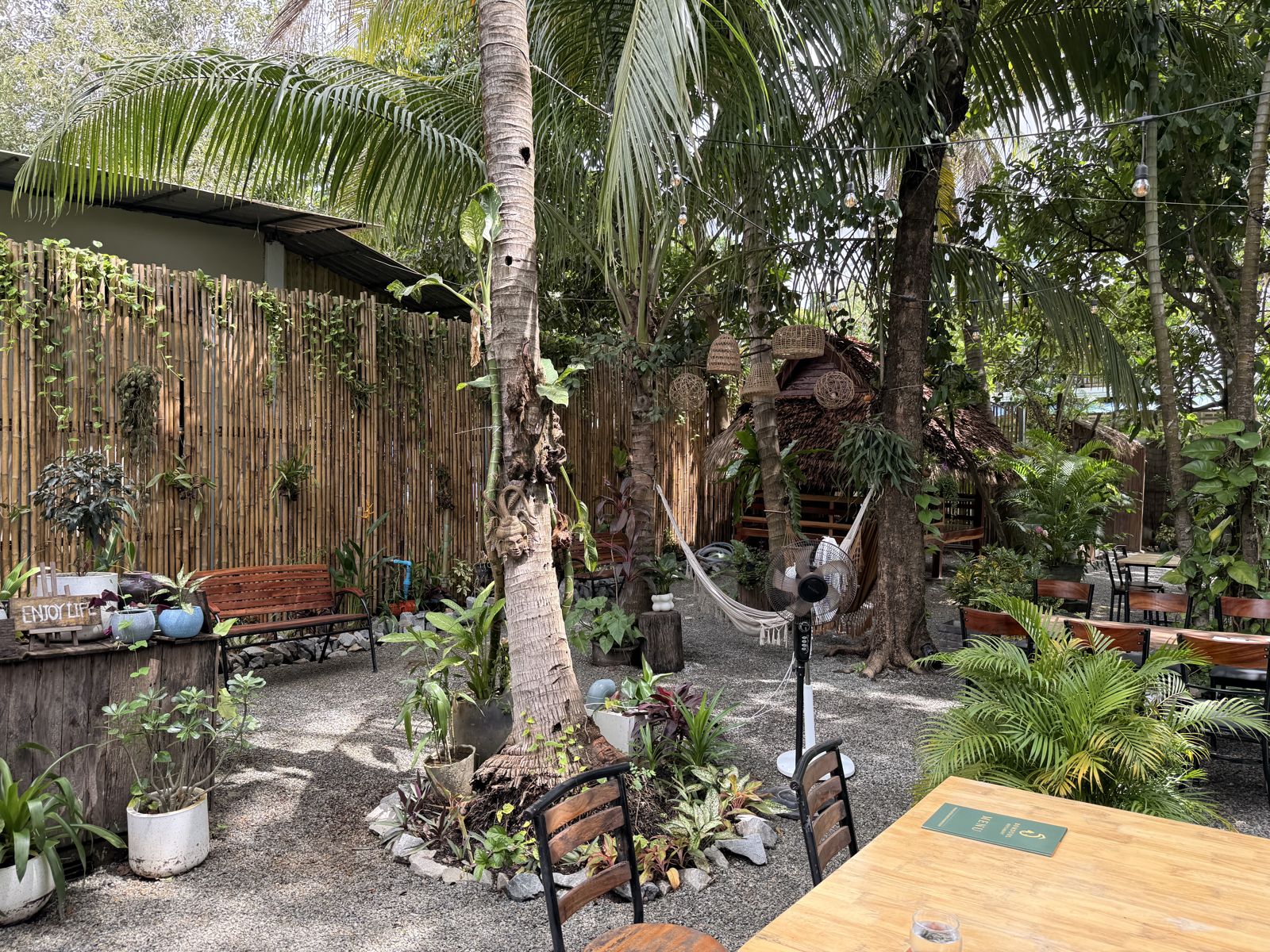 Garden with palm trees, bamboo fence and hammock